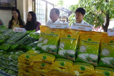 Nhà sản xuất và nhà bán lẻ chưa gặp được nhau